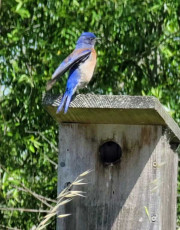 VideoCapture_20220509-143843