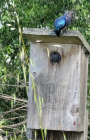 VideoCapture_20220509-145058a