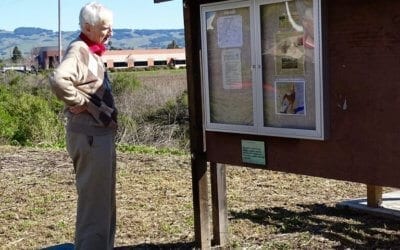 Updated Kiosks in our Wetlands