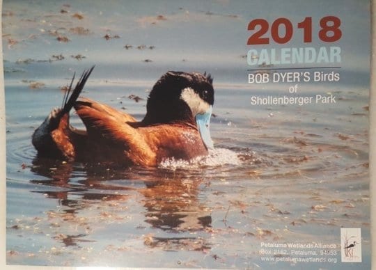 PWA Calendar Available at the Petaluma Visitors Center
