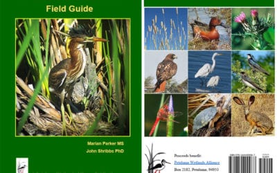 Field Guide Printed