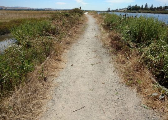 Trail work on Alman Marsh Path