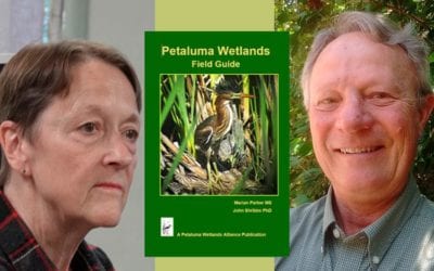 Author Presentation of Petaluma Wetlands Field Guide at Copperfield’s Books in Petaluma