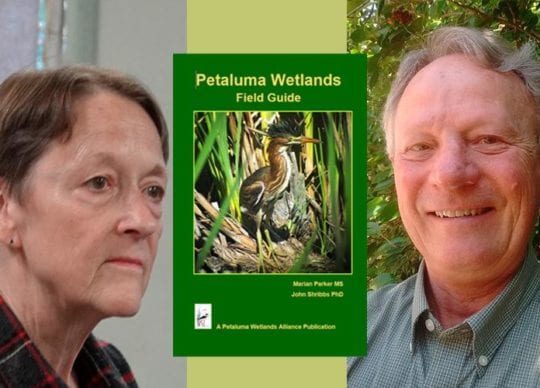 Author Presentation of Petaluma Wetlands Field Guide at Copperfield’s Books in Petaluma