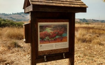 Alman Marsh Kiosk Refurbished