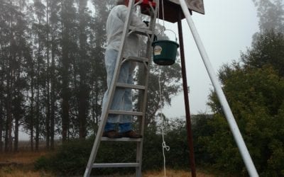 Owl Boxes Cleaned Out, Camera Now In One.