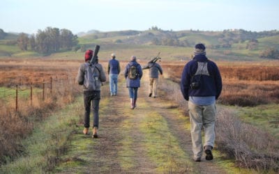 Monthly Bird Survey at Ellis Creek: January 2020