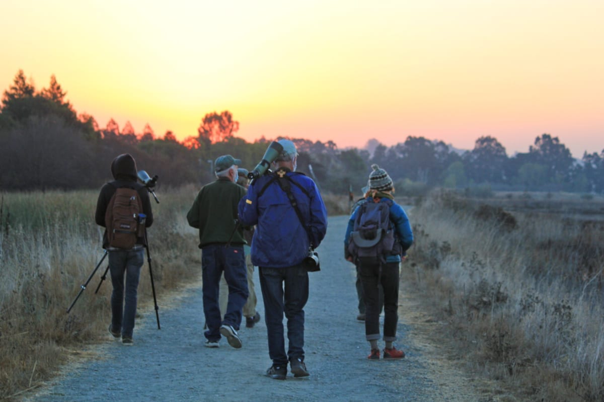 Group of bird watchers walking on path at sunset