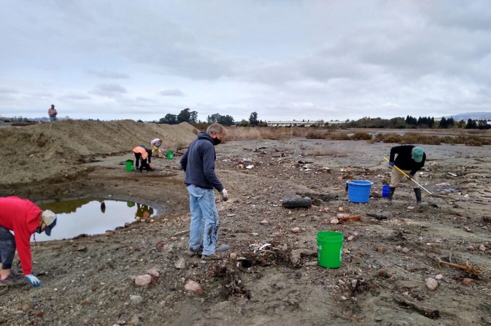 Cleanup crew working in wetlands