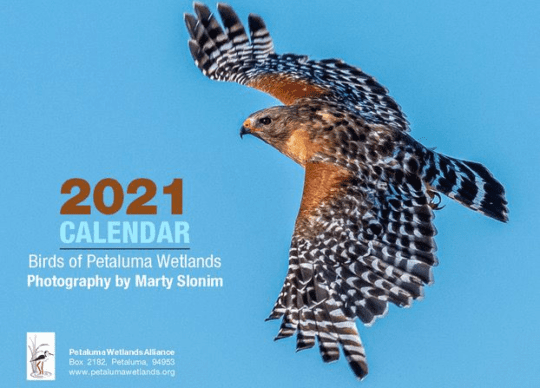 2021 Calendar with Bird photos by Marty Slonim – SOLD OUT!