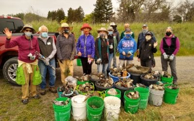 3 days of Earth Day Cleanup at Shollenberger Park Central Pond
