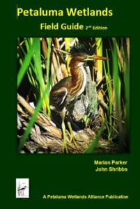 Field guide for the Petaluma Wetlands