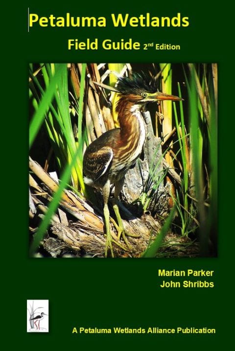 Field Guide | Petaluma Wetlands Alliance