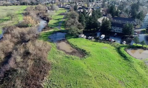 Flooding | Petaluma Wetlands Alliance