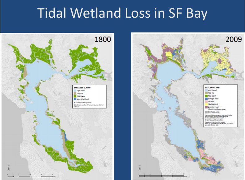 lost wetlands in SF Bay