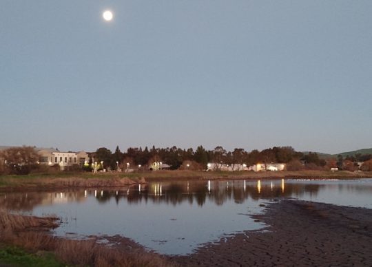 Full Moon over Shollenberger Park