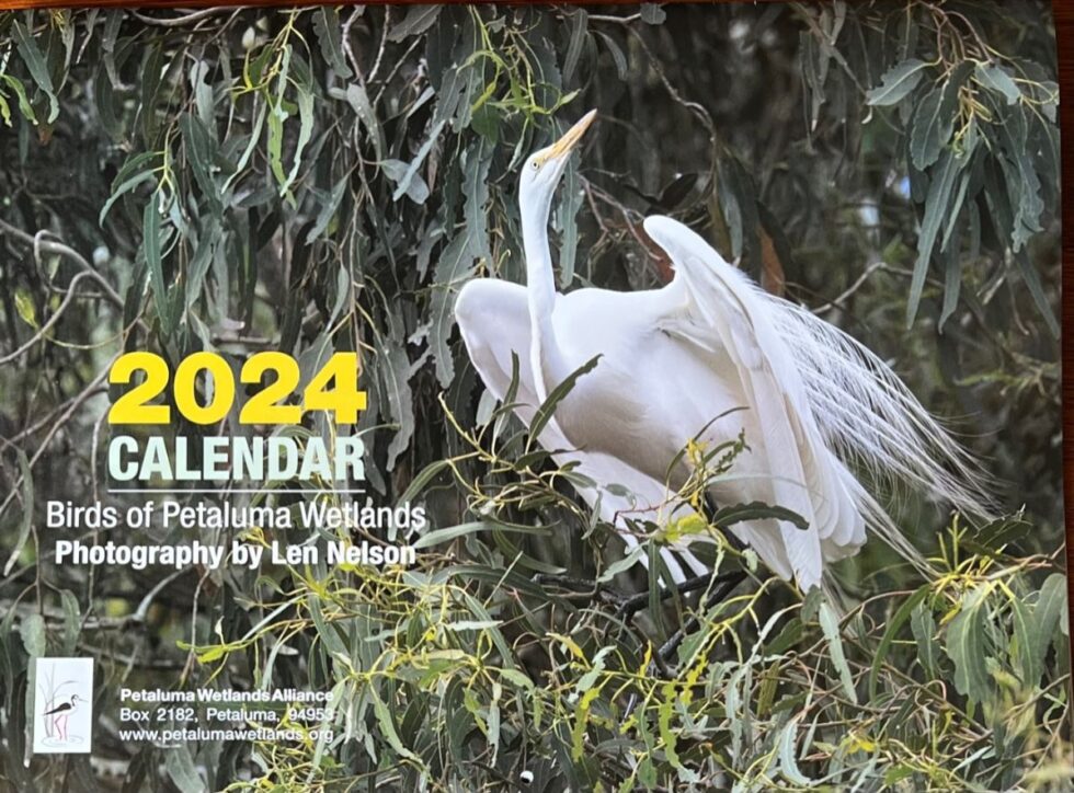 High quality 2024 Wall Calendar is Here Petaluma Wetlands Alliance