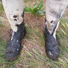 Closeup of muddy boots