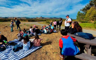 Interactive Wetlands Education