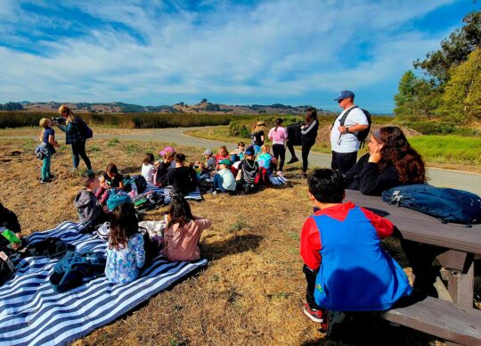 Interactive Wetlands Education