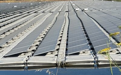 PWA Supports UC Davis Research