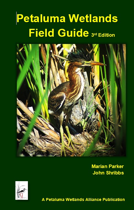 Field Guide book cover