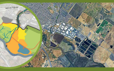 Restoring Sediment Pathways