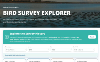 Introducing the Bird Survey Explorer