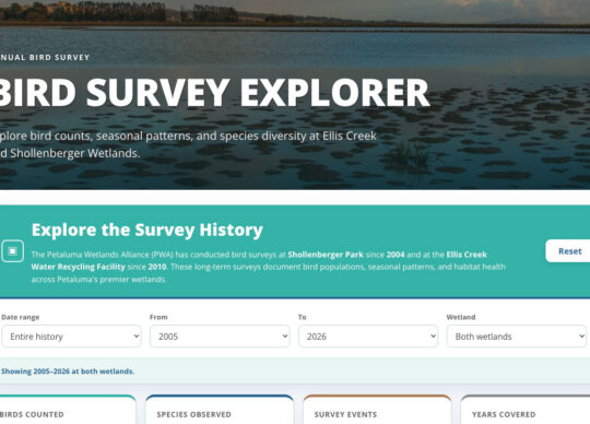 Introducing the Bird Survey Explorer