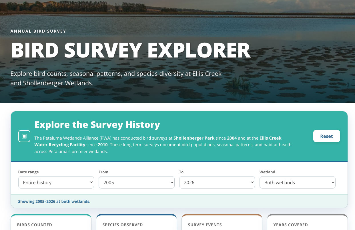 Bird-Explorer Bird Explorer Interface